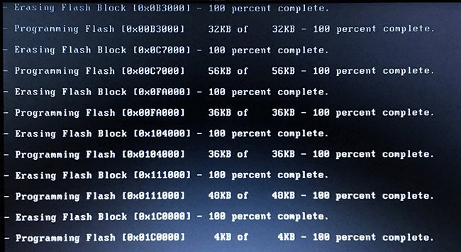 Снимок экрана командной строки Microsoft Windows, идёт процесс прошивки Bios, выполнено 100%