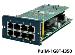PulM-1G8T-I350