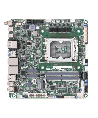 IMB-1236