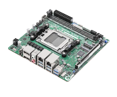 IMB-A1002